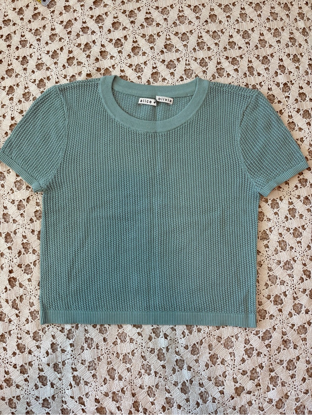 alice + olivia Sample Mesh Crop Top Short Sleeve Crewneck Seafoam NWT